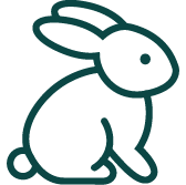 Zobowiązanie do braku testów na zwierzętach